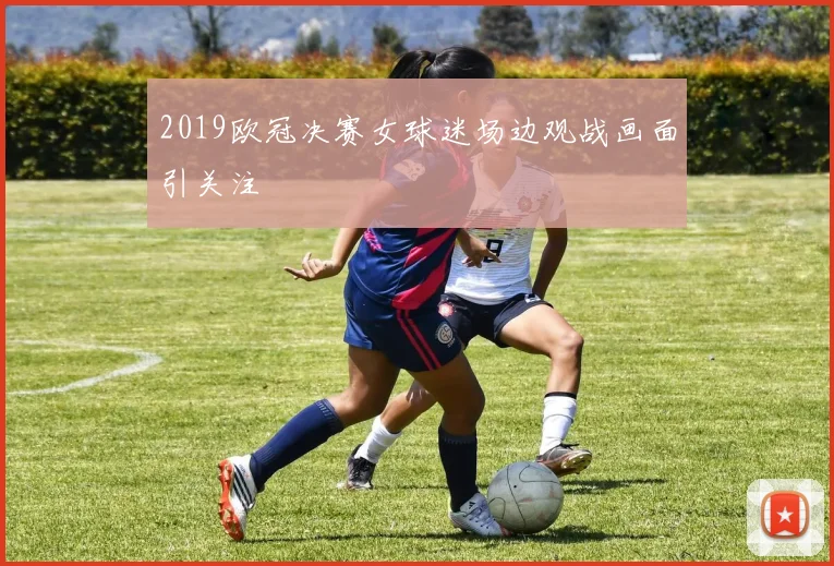 2019欧冠决赛女球迷场边观战画面引关注