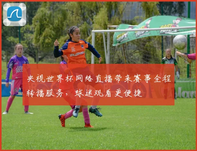 央视世界杯网络直播带来赛事全程转播服务，球迷观看更便捷